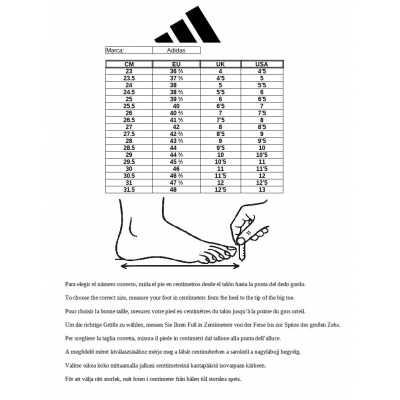 Adidas Botas Boxeo Box Hog 3 Azul