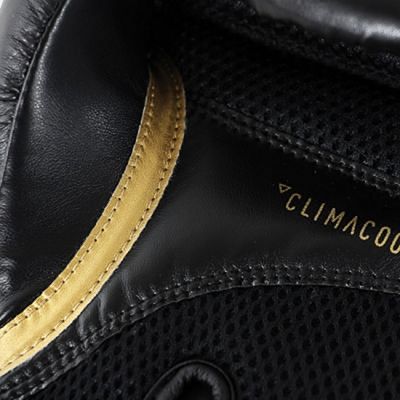 Adidas Speed 100 Boxing Gloves Nero-Oro