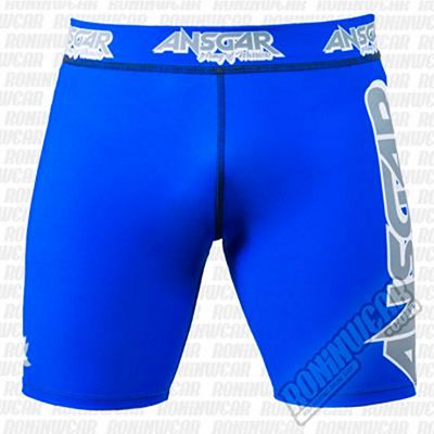 Ansgar Army Of Warriors Lycra Shorts Azul