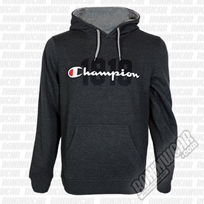 Champion Fall Fleece Grau