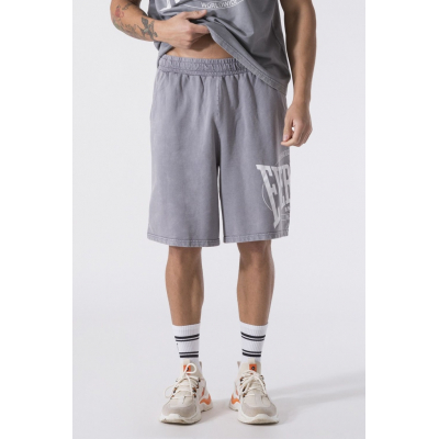 Everlast GARMENT WASHED Shorts Grigio