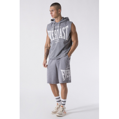 Everlast GARMENT WASHED Shorts Gris