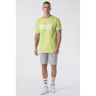 Everlast HEAVY JERSEY Shorts Grau