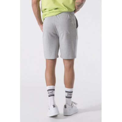 Everlast HEAVY JERSEY Shorts Grau