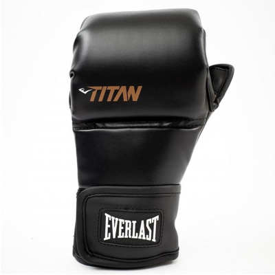 Everlast Titan MMA Sparring Gloves Noir