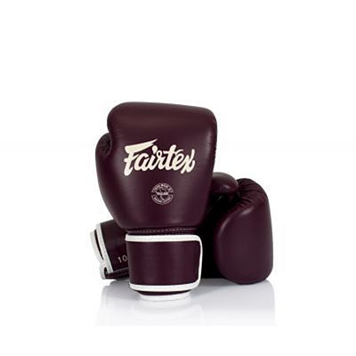 Fairtex BGV16 Boxing Gloves Braun