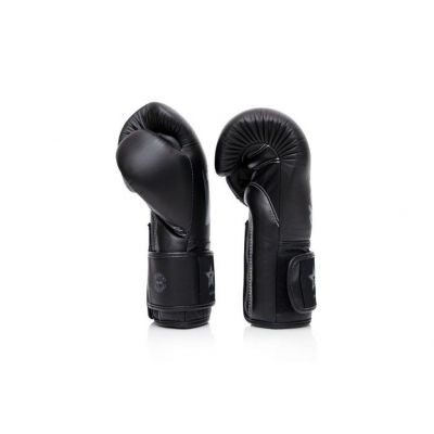 Fairtex Guantes Boxeo BGVB1 Negro-Gris