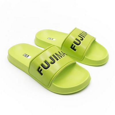 FUJIMAE RLTD Slides Amarillo