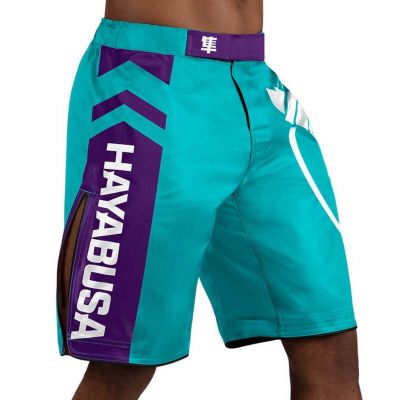 Hayabusa Icon Fight Shorts Light Blue