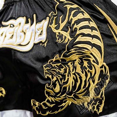 Hayabusa Premium Muay Thai Shorts Negro