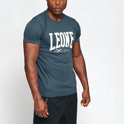 Leone 1947 ABX106 Logo T-shirt Grå