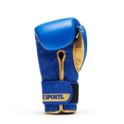 Leone 1947 Guantes De Boxeo DNA GN220 Azul