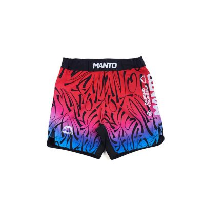 Manto Fight Shorts MULTI GRADIENT Flerfärgad