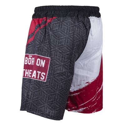 Okami Cube Fightshorts Rot-Schwarz