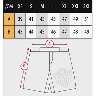 Pride Or Die Unleashed Fightshorts Black