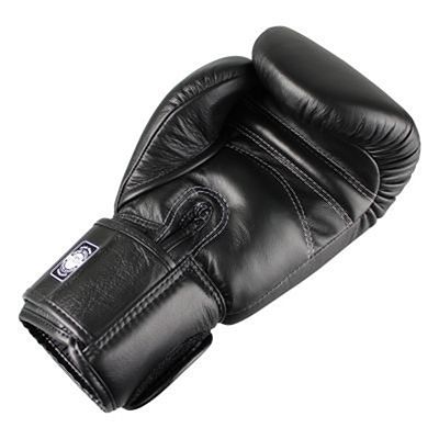 Twins Special Guantes Boxeo BG-N Negro