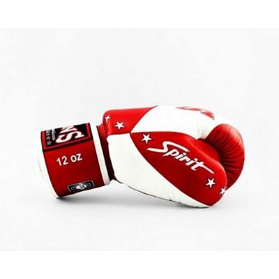 Twins Special BGVL 10 Boxing Gloves Vit-Röd