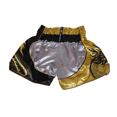 Twins Special TTBL 74 Fancy Muay Thai Shorts Grau-Gold