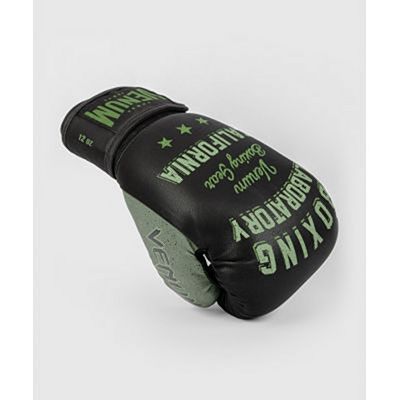 Venum Boxing Laboratory Boxing Gloves Noir-Vert