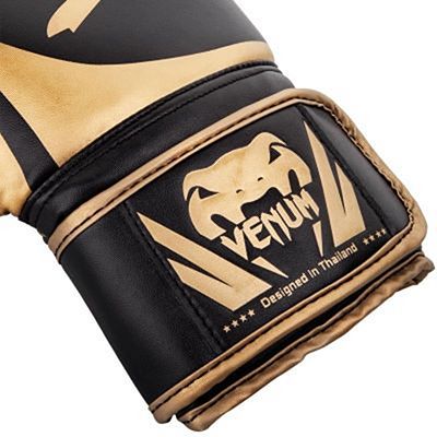 Venum Challenger 2.0 Boxing Gloves Negro-Oro