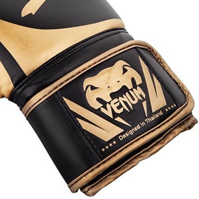 Venum Challenger 2.0 Boxing Gloves Preto-Dourado