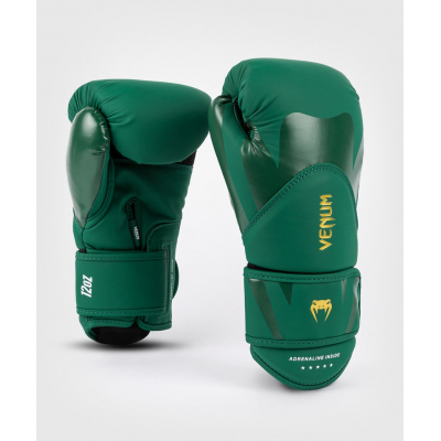 Venum Challenger 4.0 Boxing Gloves Vert-Vert