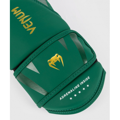 Venum Challenger 4.0 Boxing Gloves Vert-Vert