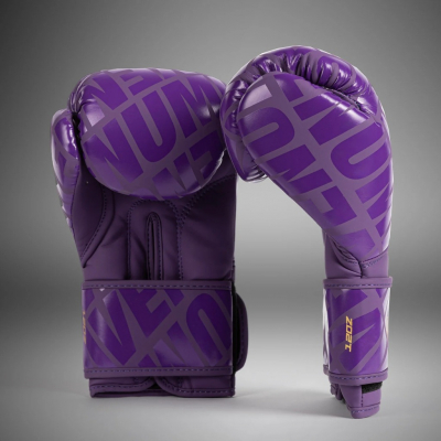 Venum Contender 1.5 XT Boxing Gloves Lila