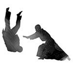 Aikido - Kendo - Iaido