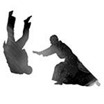 Aikido - Kendo - Iaido