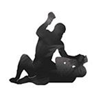 MMA Mixed Martial Arts