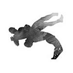 Wrestling