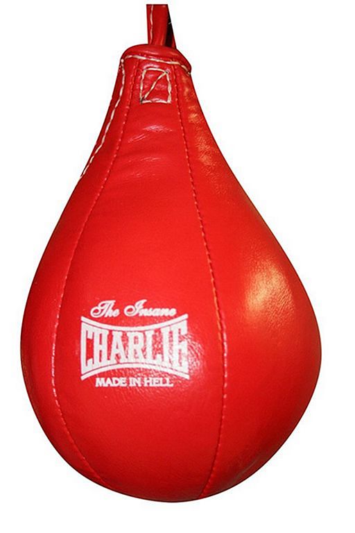 Everlast Leather Speed Bags