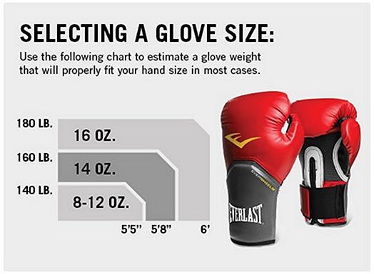 Gants de boxe Everlast Elite neuf : Equipements