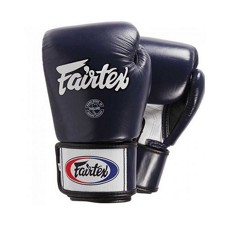 Fairtex BGV1 Boxing Gloves Blue