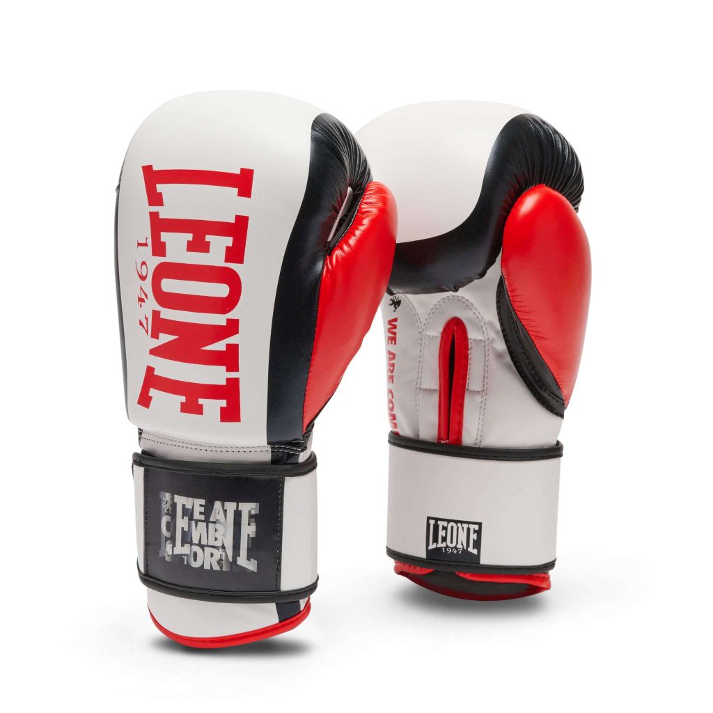 Guantes de boxeo Leone DNA Rojo > Envío Gratis