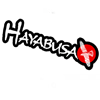 Hayabusa