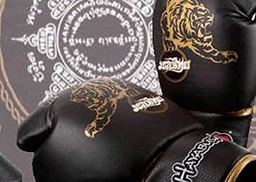 Apresentamos-te a colecção Premium Muay Thai da Hayabusa